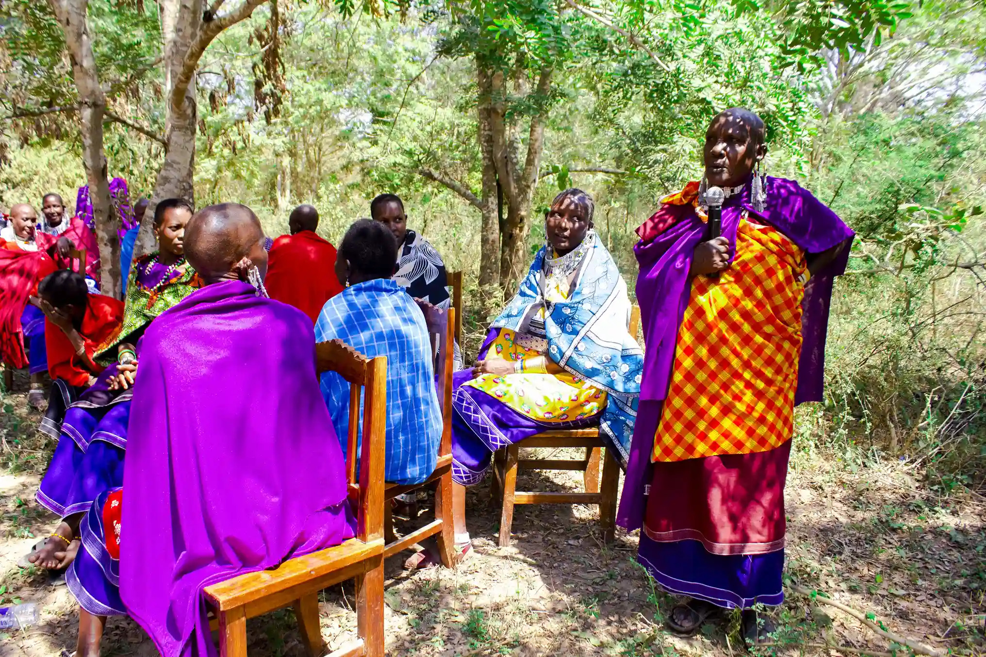 Gender and GBV Programme