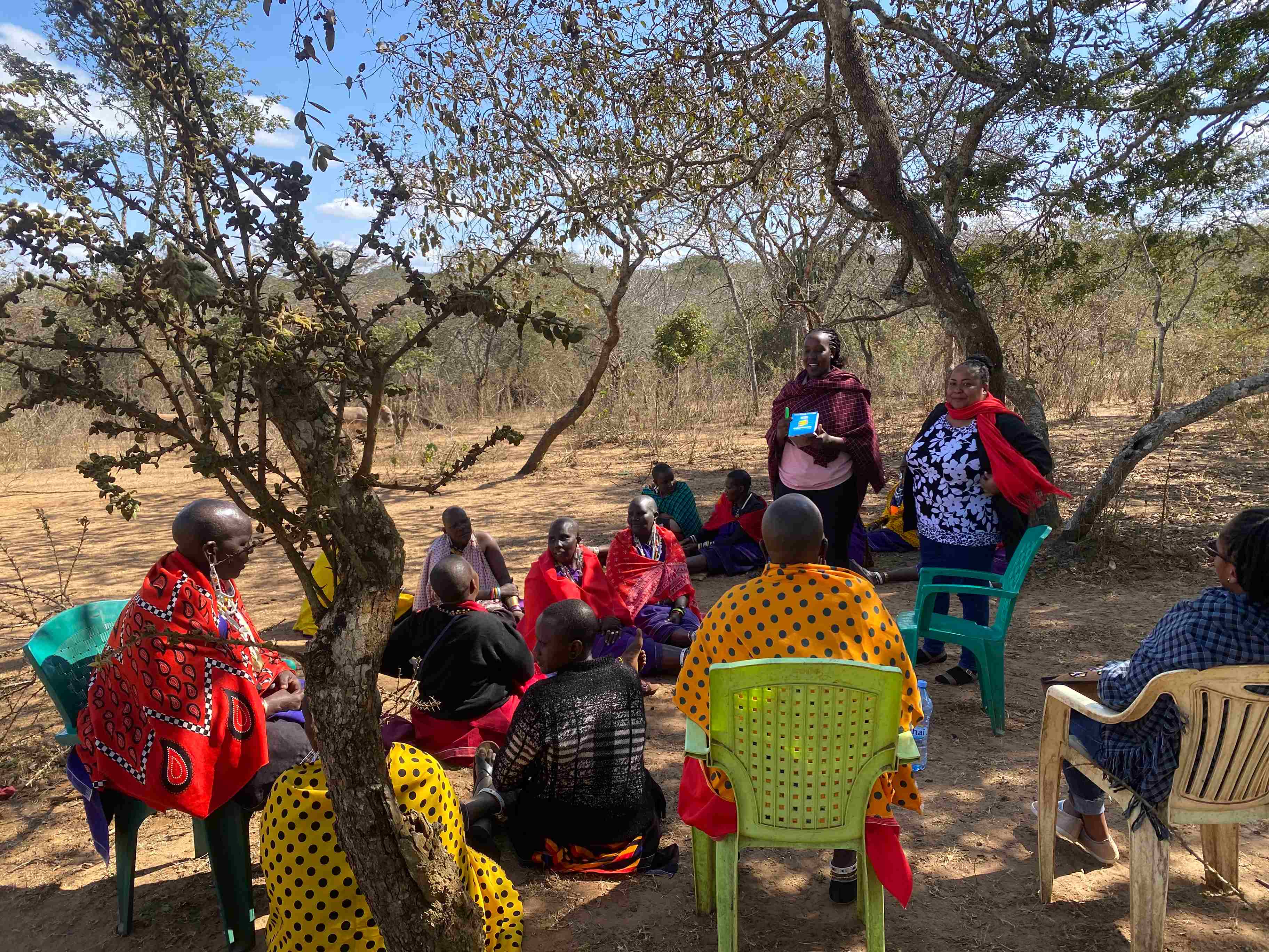 Facilitated discussion circle under a tree